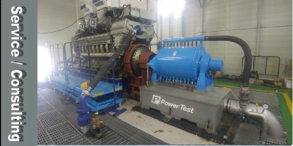 consulting y servicios