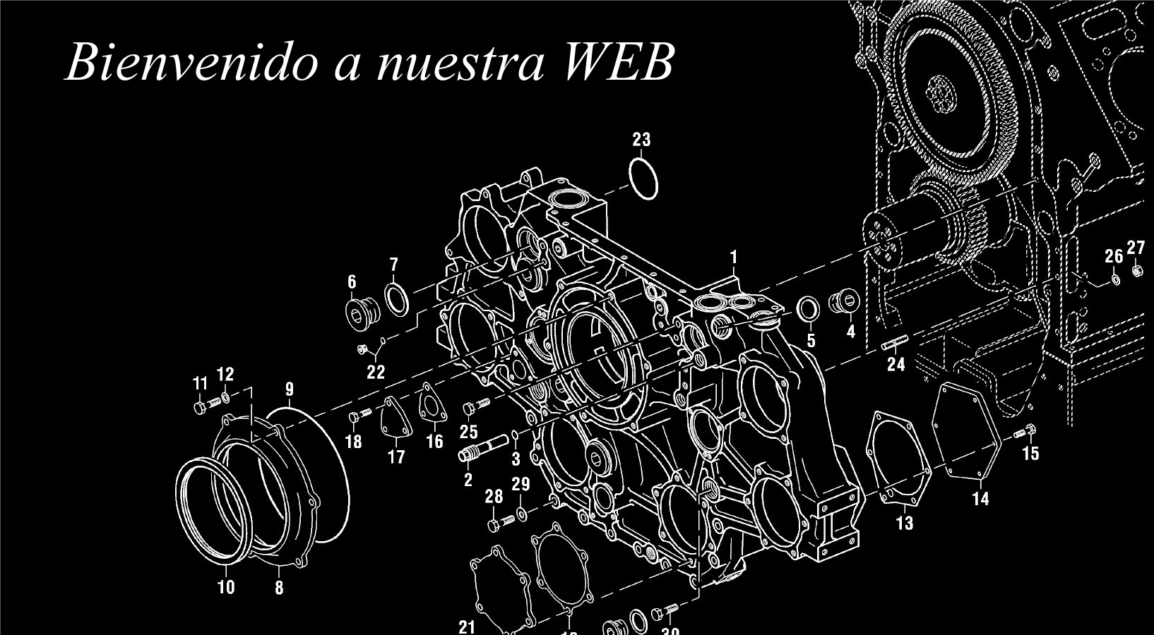 bienvenido a nuestra web